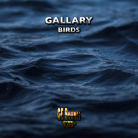 Gallary - Birds LP