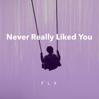 Flx - Never Really Liked You
