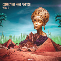Cosmic Tone and One Function - Voices