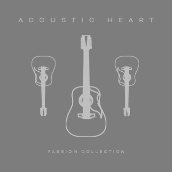 Voidoid - Acoustic Heart - Passion Collection