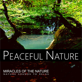 Nature Sounds - Peaceful Nature - Miracles Of The Nature