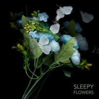 Sleepy - Flowers