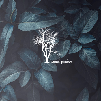 Odagled - Never Win