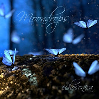 Echosonica - Moondrops