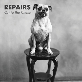Repairs - Cut to the Chase