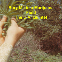 C.a. Quintet - Bury Me in a Marijuana Field