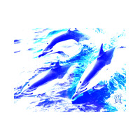 Tiknology - Dolphin