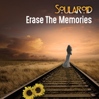 Soularoid - Erase The Memories