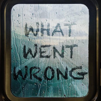 Brandon Mitchell - What Went Wrong