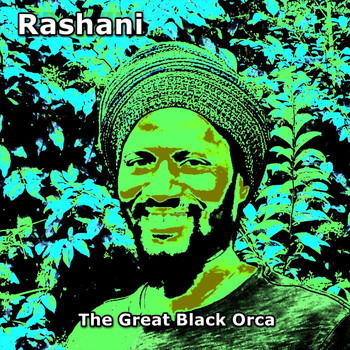 Rashani - The Great Black Orca