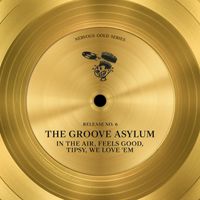 The Groove Asylum - In The Air / Feels Good / Tipsy / We Love 'Em