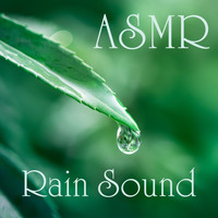 Leon Riskin - ASMR Rain Sound