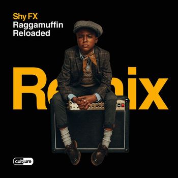 Shy FX - Raggamuffin (feat. Mr. Williamz) (Potential Badboy Remix)