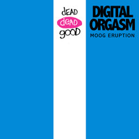 Digital Orgasm - Moog Eruption