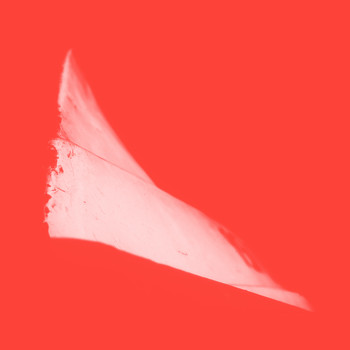 Phill Niblock - G2,44+/X2