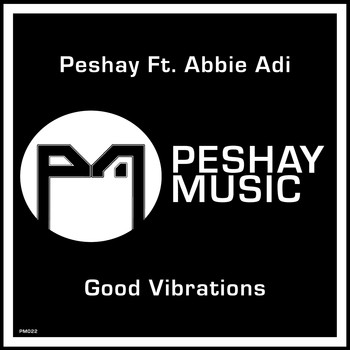 Peshay feat. Abbie Adi - Good Vibrations