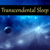 Seishin Tamashi - Transcendental Sleep