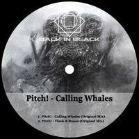 Pitch! - Calling Whales