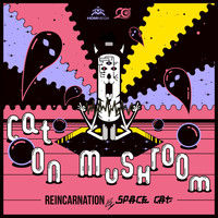 Cat on Mushroom - Reincarnation (Space Cat 2017 Remake)