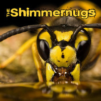 The Shimmernugs - Whispering Too Loud