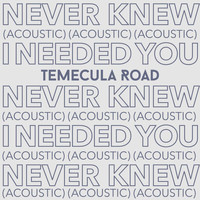 Temecula Road - Never Knew I Needed You (Acoustic)