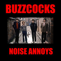 Buzzcocks - Noise Annoys (Explicit)