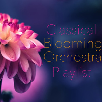 Blooming Orchestra - Classical Blooming Orchestra Playlist