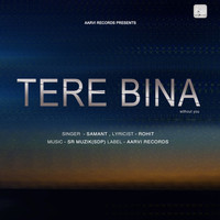 Samant - Tere Bina - Single