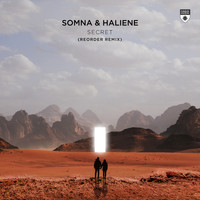 Somna & HALIENE - Secret (ReOrder Remix)