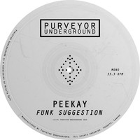 Peekay - Funk Suggestion