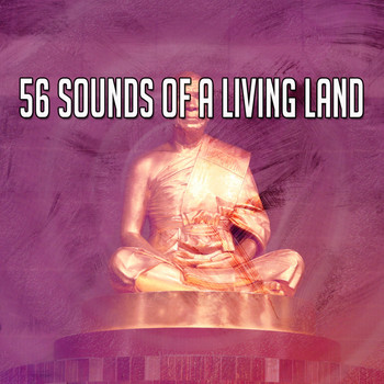 Meditation Spa - 56 Sounds of a Living Land