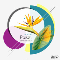 Pozzi - Strelitzia