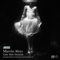 Marvin Aloys - Little Hide Darkside