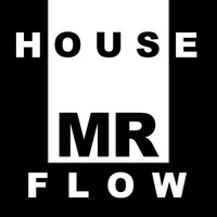 Mr Flow - House