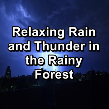 Rain & Thunder Storm Sounds - Relaxing Rain and Thunder in the Rainy Forest