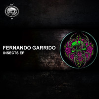 Fernando Garrido - Insects