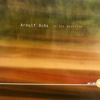 Arnulf Ochs - In the Meantime
