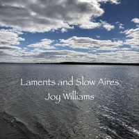 Joy Williams - Laments and Slow Aires Joy Williams