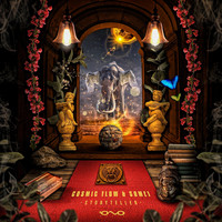 Cosmic Flow and SOME1 - Storyteller