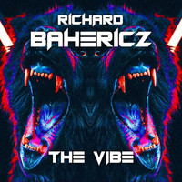 Richard Bahericz - The Vibe
