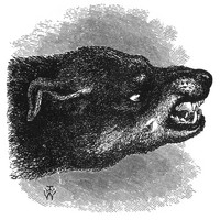 Elmer - meadmouth