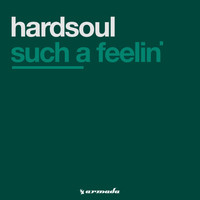 Hardsoul - Such A Feelin'
