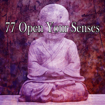Yoga - 77 Open Your Senses