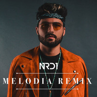 NRD1 - Melodia Remix (Radio Edit)