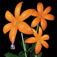 ORANGE RANGE - Flower