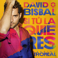 David Bisbal - Si Tú La Quieres (Versión Tropical)