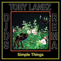 DJDS - Simple Things