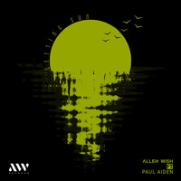 Allen Wish - Setting Sun