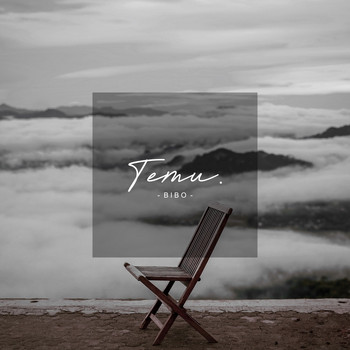 Bibo - Temu