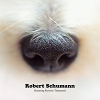 Robert Schumann - Dreaming Reverie (Träumerei)